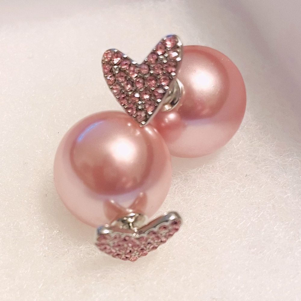 Earrings NWT